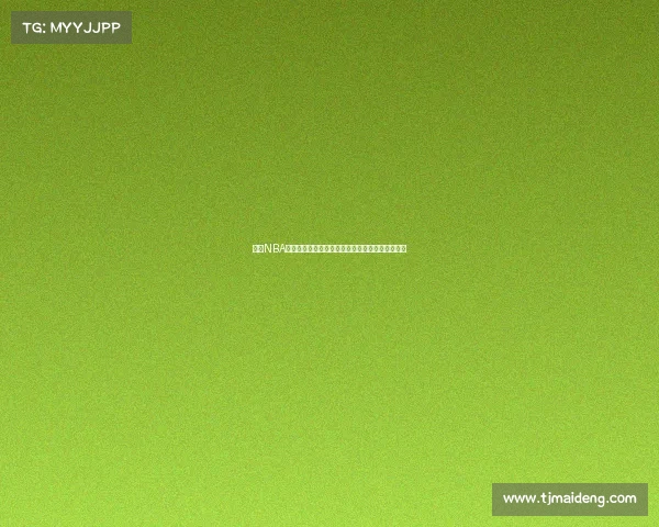 探索NBA球队官网：全面了解每支球队的历史、阵容与动态