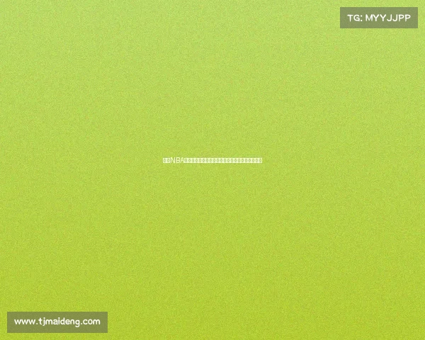 探索NBA球队官网：全面了解每支球队的历史、阵容与动态